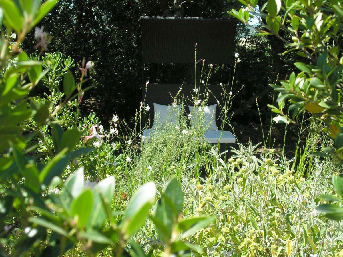 Clos Des Lavandes - Chambres Et Suites De Charme Climatisees-Luberon Lacoste  Exterior photo