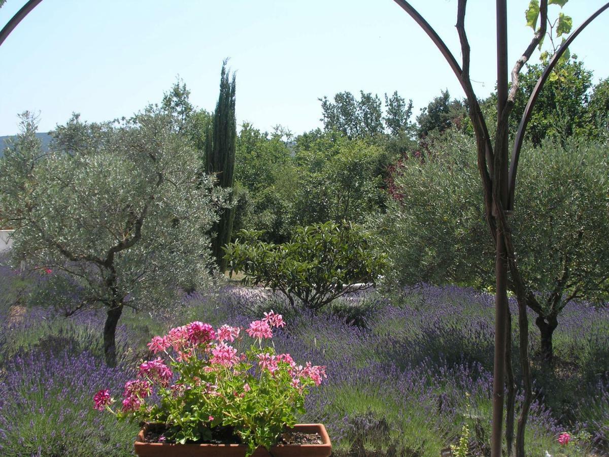 Clos Des Lavandes - Chambres Et Suites De Charme Climatisees-Luberon Lacoste  Exterior photo